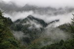风景