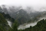 风景