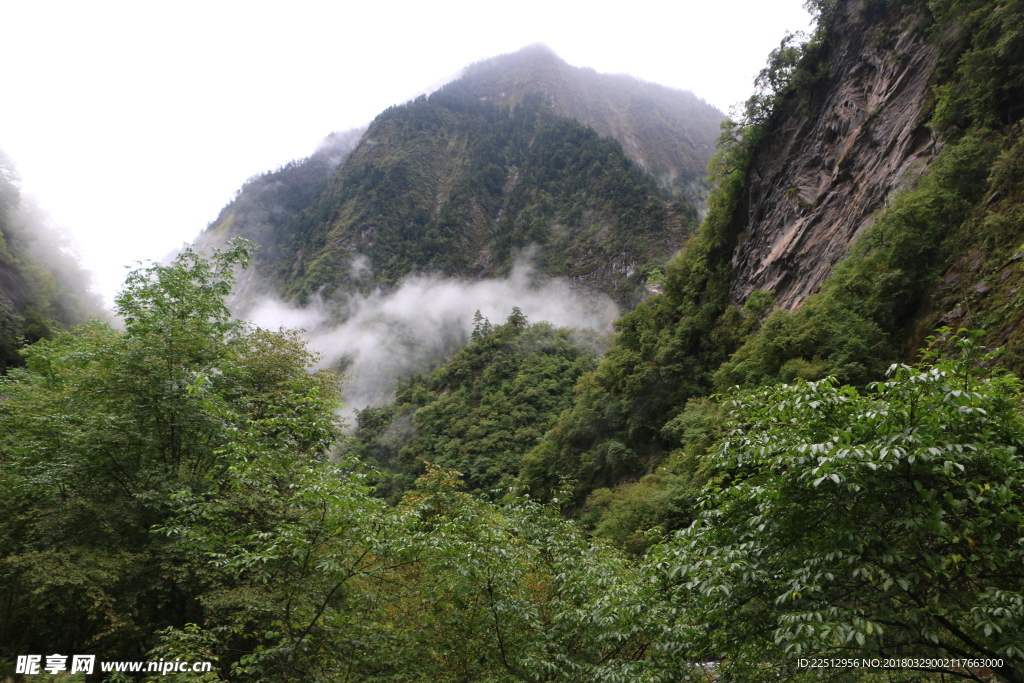 风景