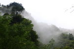 风景