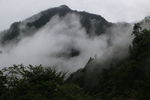 风景