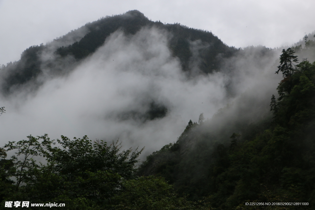 风景