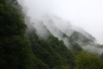 风景