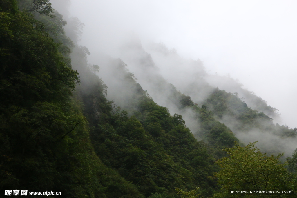 风景