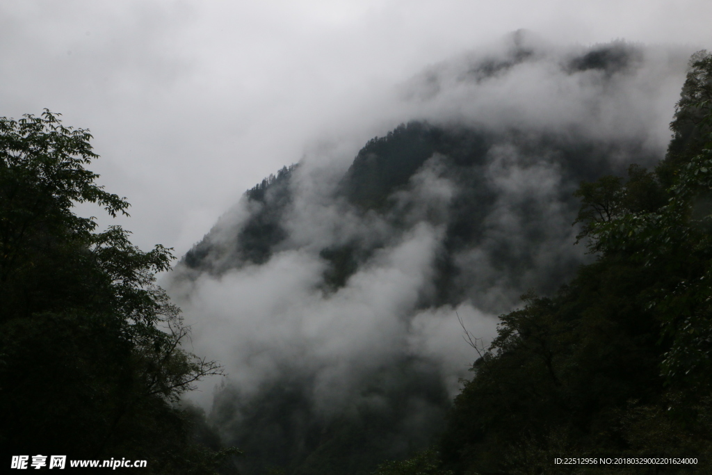 风景