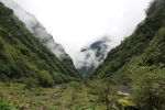 山