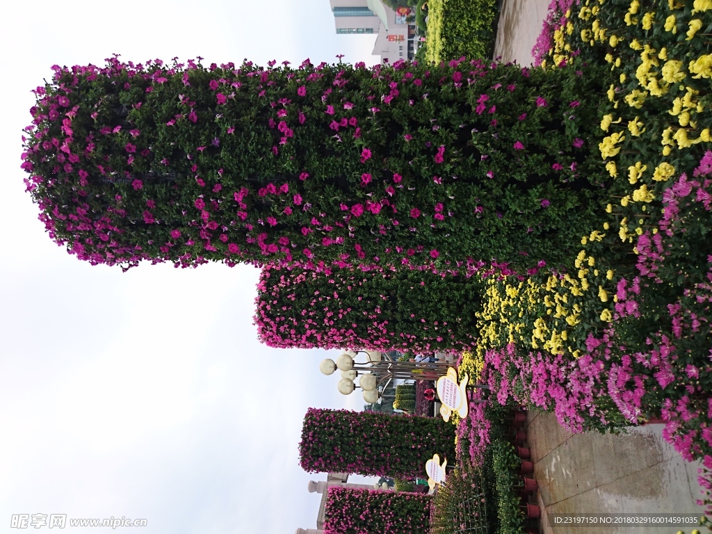 花柱