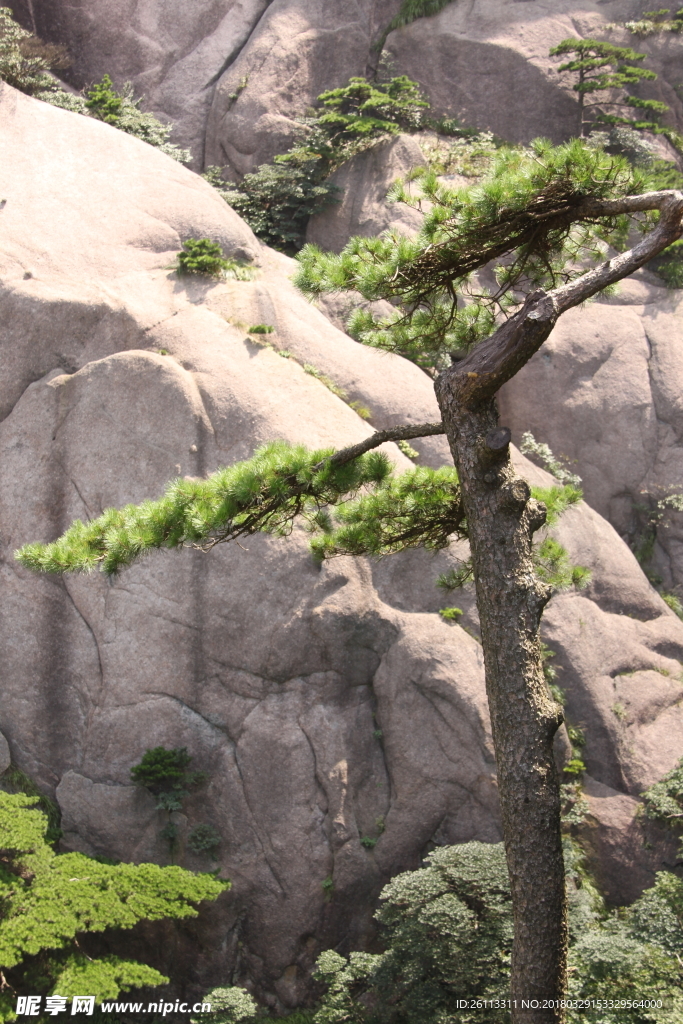黄山