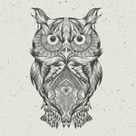 猫头鹰 工笔画