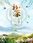 春茶
