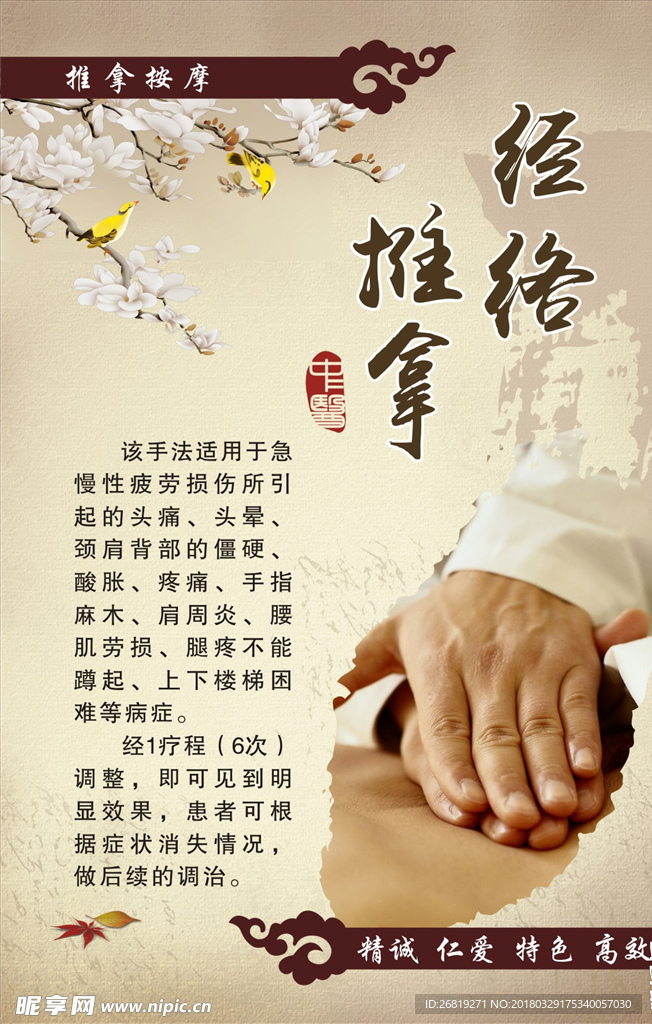 经络推拿  养生   中医