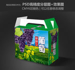 葡萄包装 手提葡萄箱 展开图