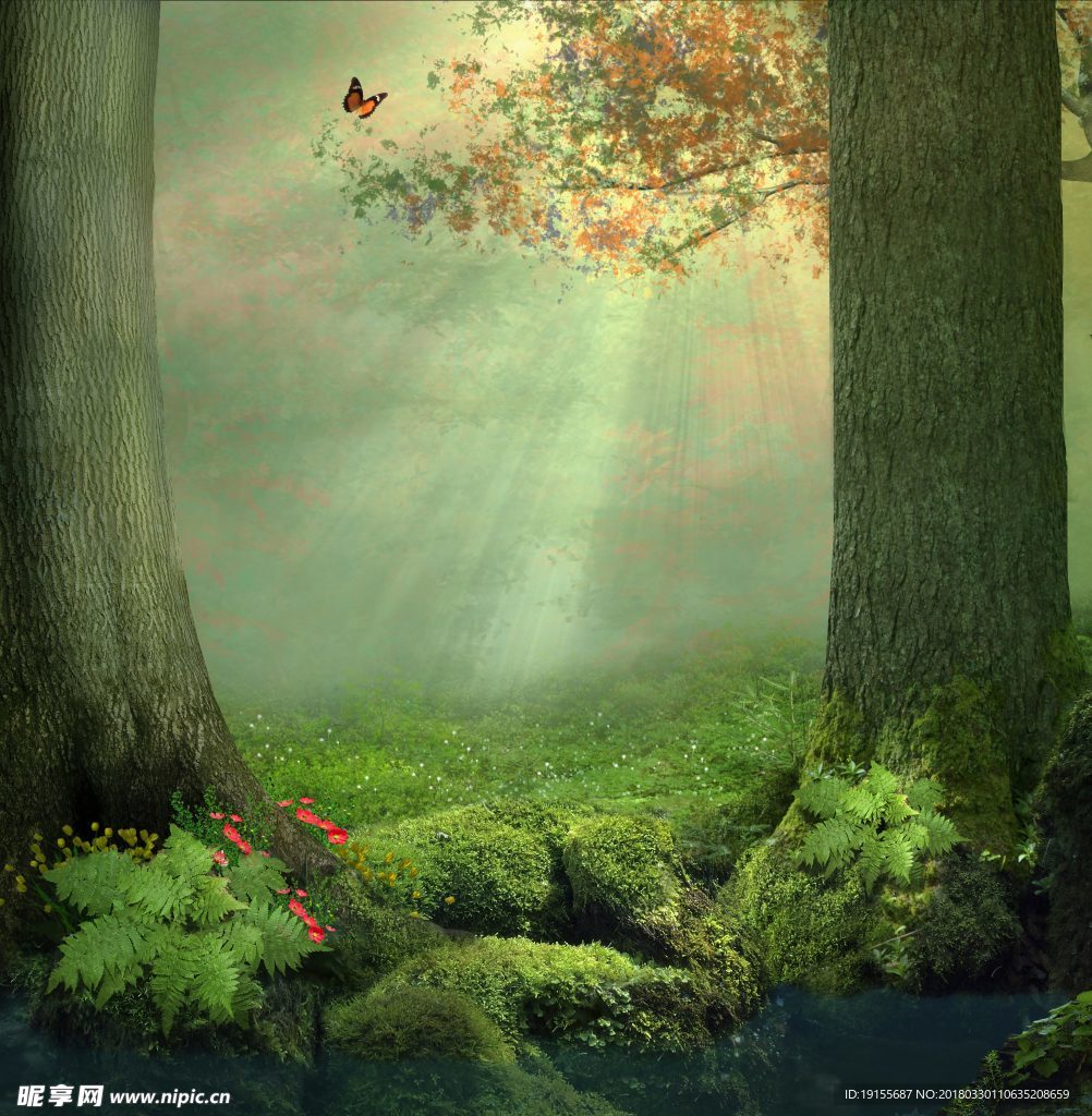 梦幻森林