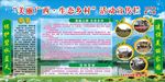 美丽广西生态乡村活动宣传栏