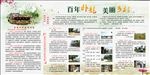 美丽乡村