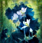中国风荷叶荷花水墨国画
