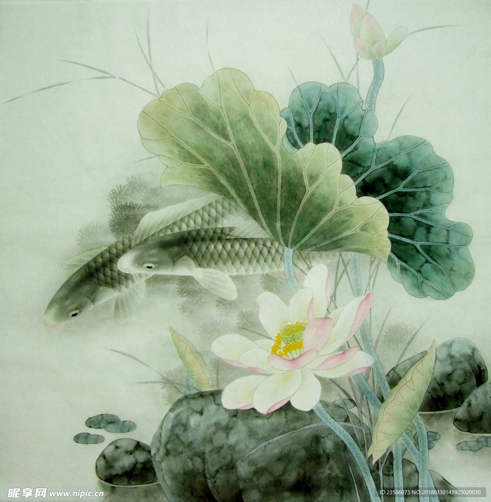中国风荷叶荷花水墨国画