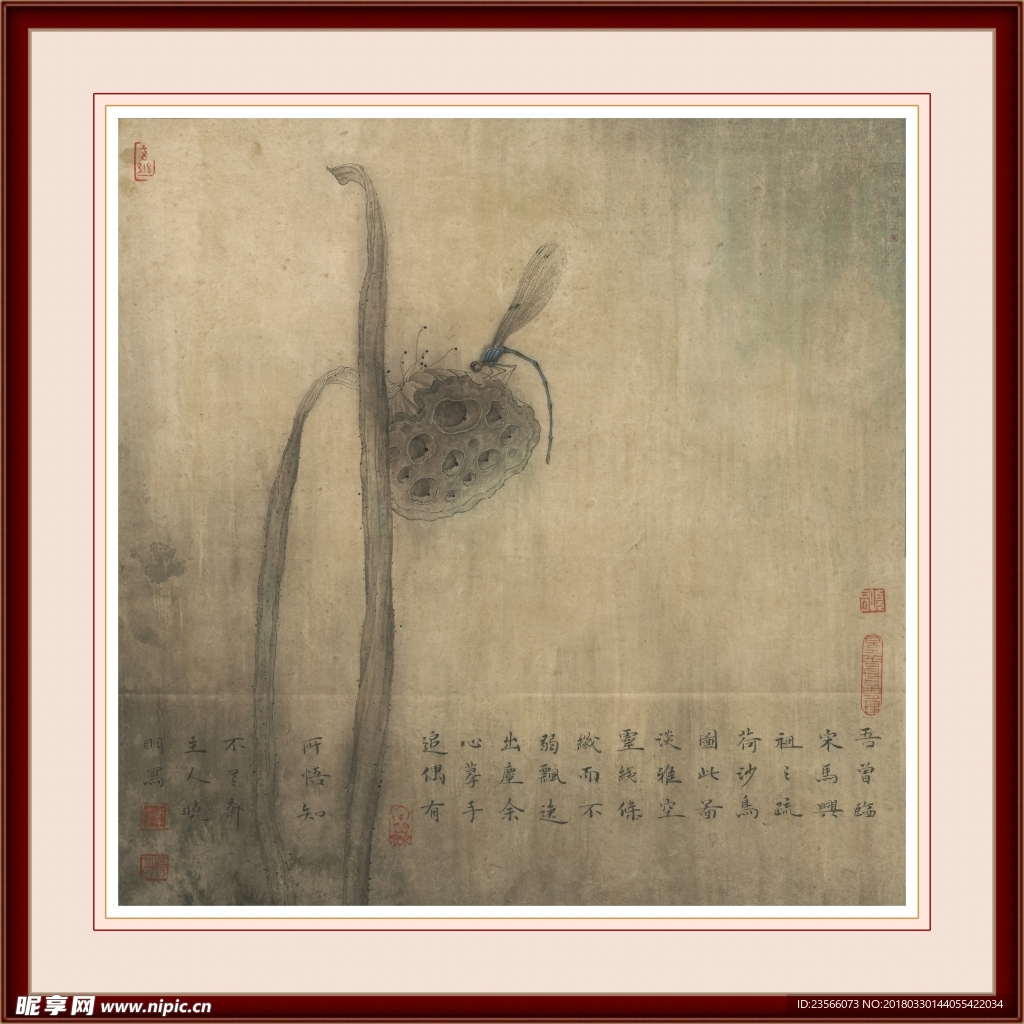 中国风荷叶荷花水墨国画