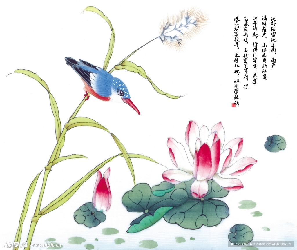 中国风荷叶荷花水墨国画