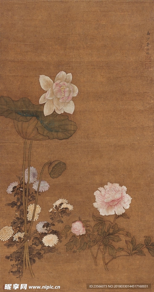 中国风荷叶荷花水墨国画