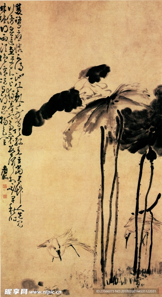 中国风荷叶荷花水墨国画