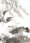 中国风荷叶荷花水墨国画