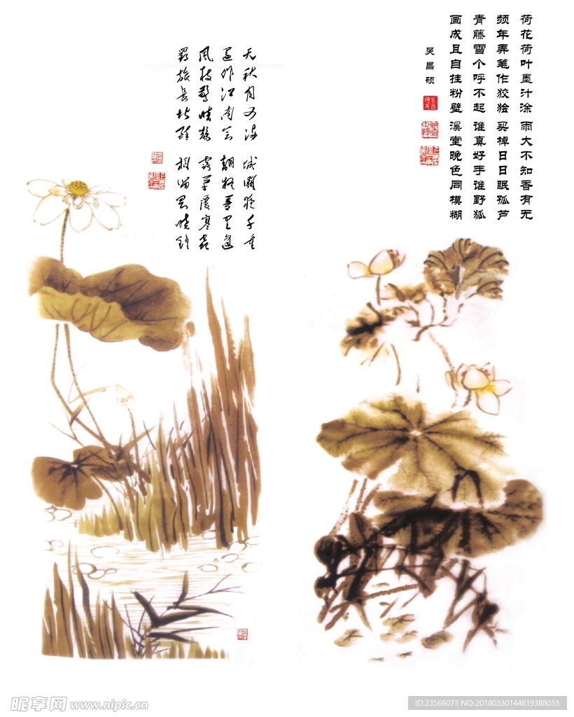 中国风荷叶荷花水墨国画