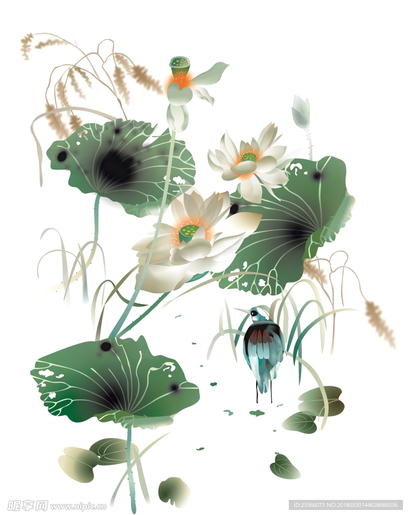 中国风荷叶荷花水墨国画