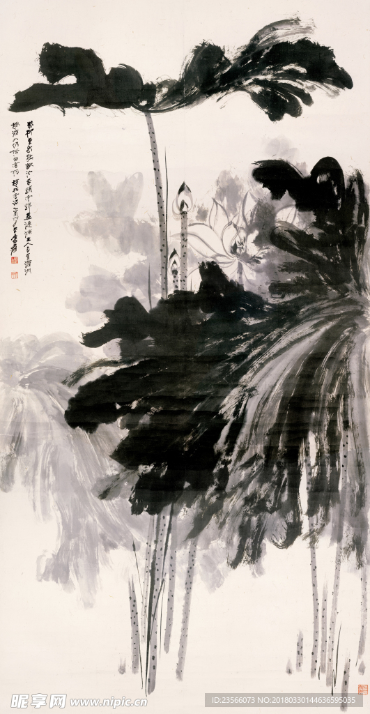 中国风荷叶荷花水墨国画
