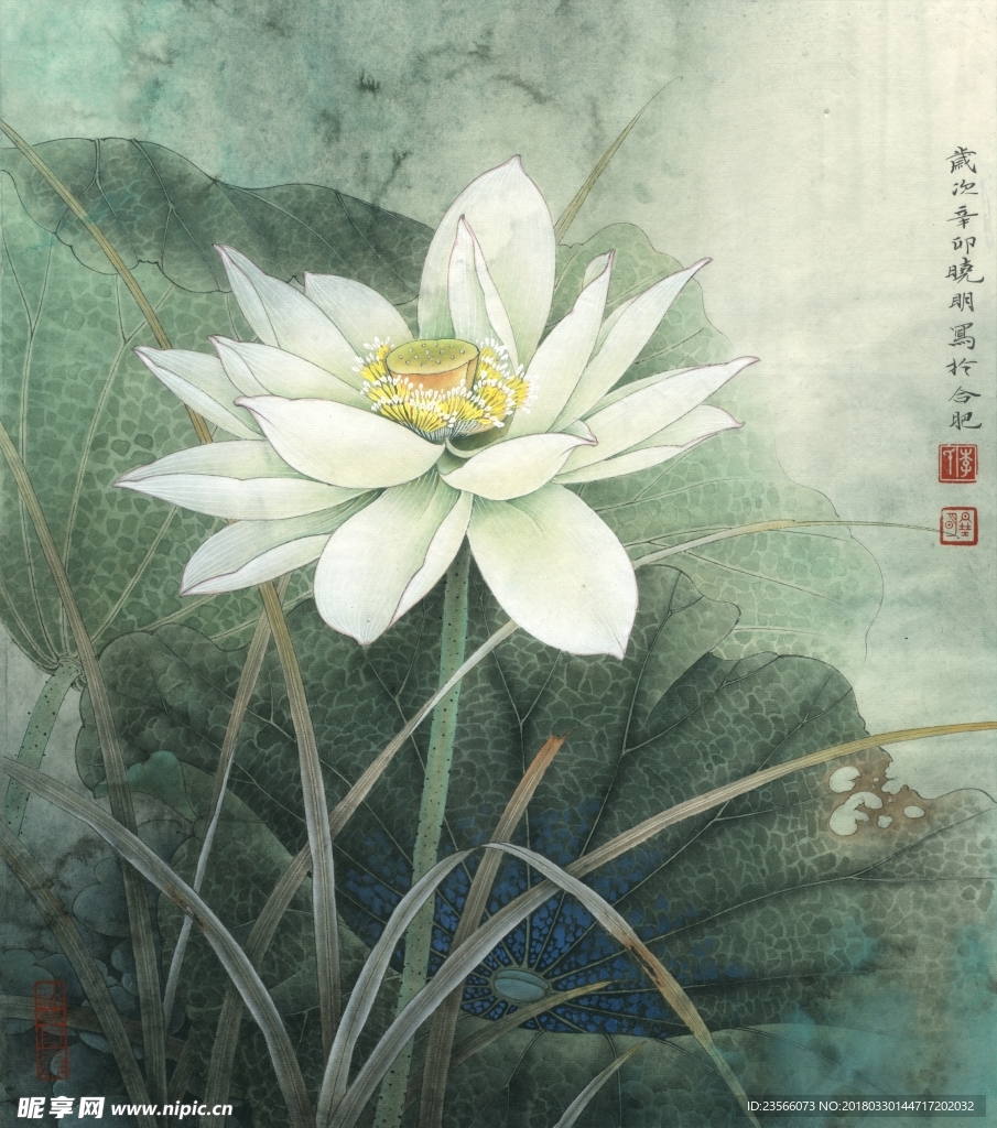 中国风荷叶荷花水墨国画