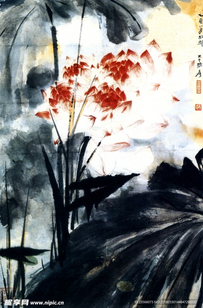 中国风荷叶荷花水墨国画