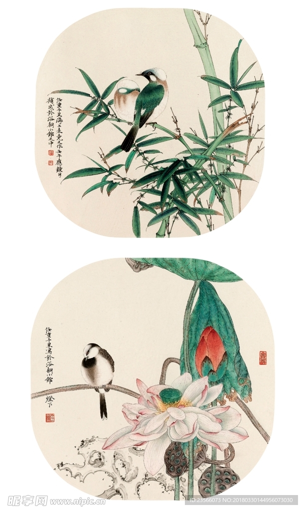中国风花鸟植物水墨国画