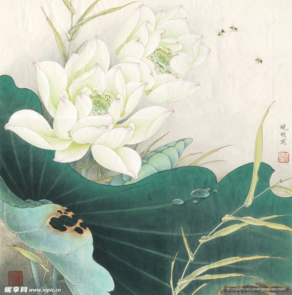中国风荷叶荷花水墨国画