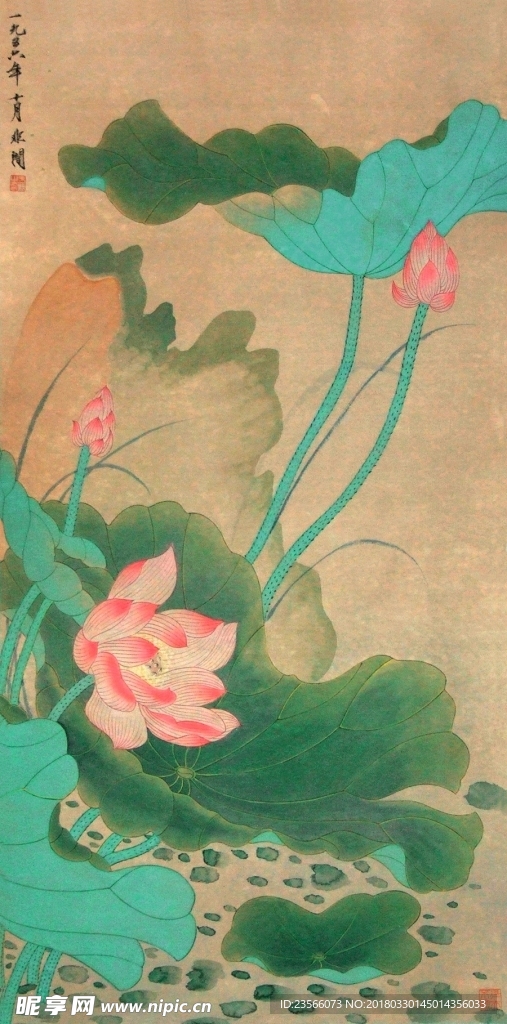 中国风荷叶荷花水墨国画