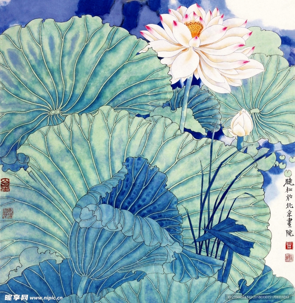 中国风荷叶荷花水墨国画