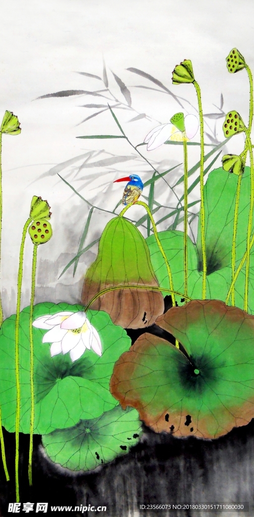 中国风荷叶荷花水墨国画