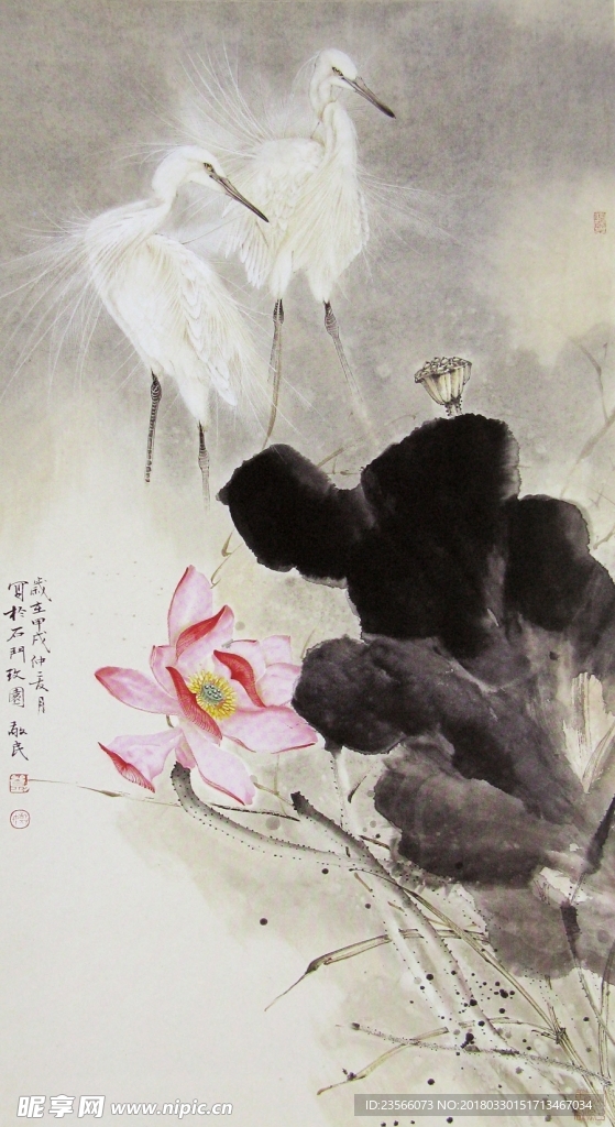 中国风荷叶荷花水墨国画