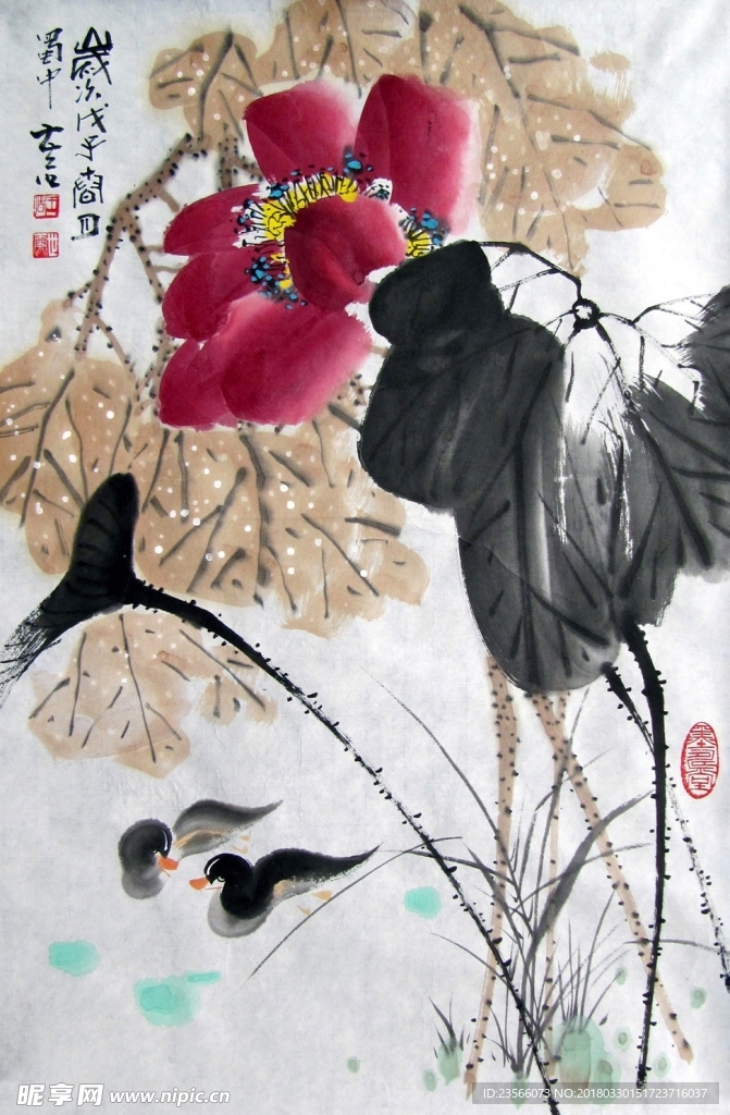 中国风荷叶荷花水墨国画