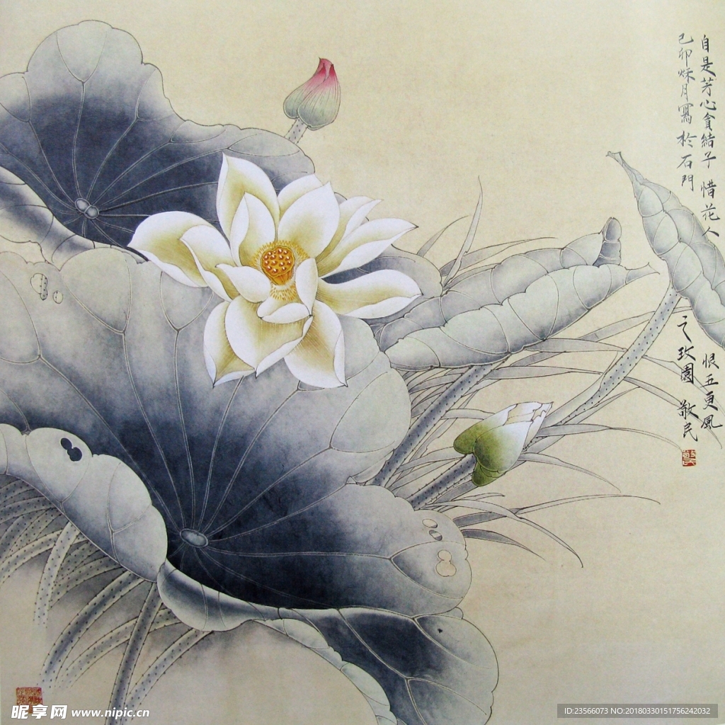 中国风荷叶荷花水墨国画