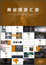 商业项目汇报PPT