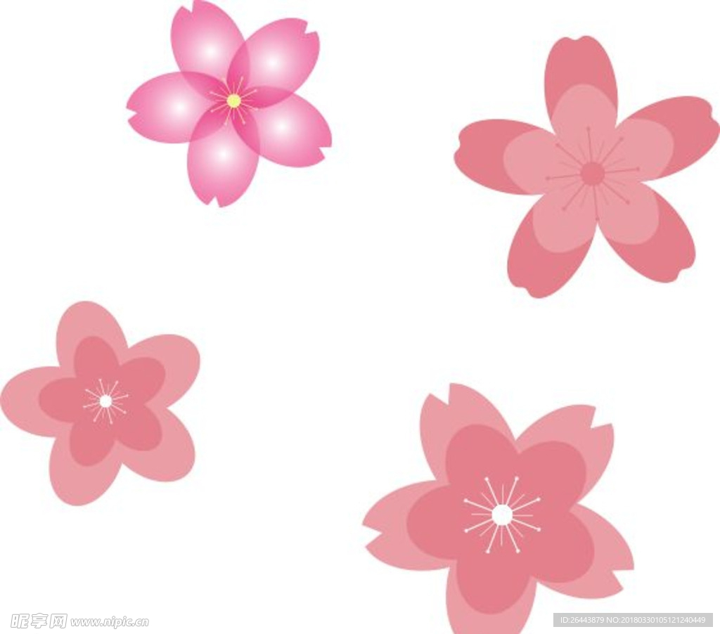 樱花