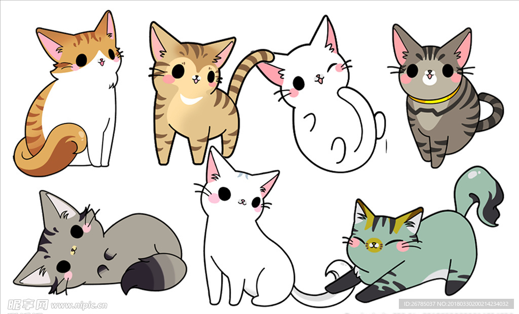 猫