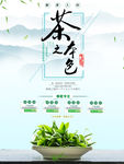 春茶