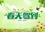 春天驾到
