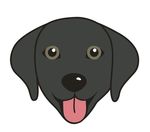 狗狗