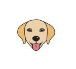 狗