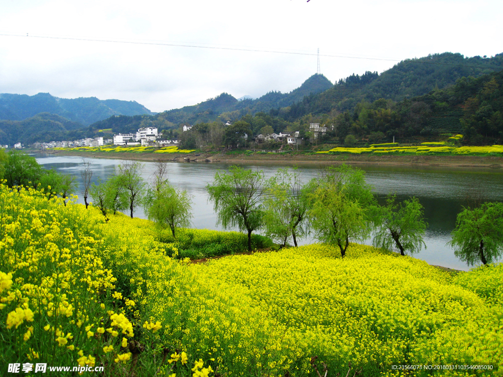 田园油菜花风光摄影