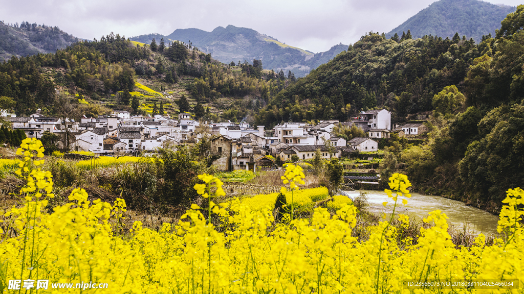 田园油菜花风景摄影
