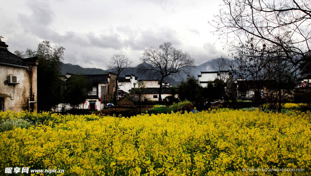 水乡田园风景摄影