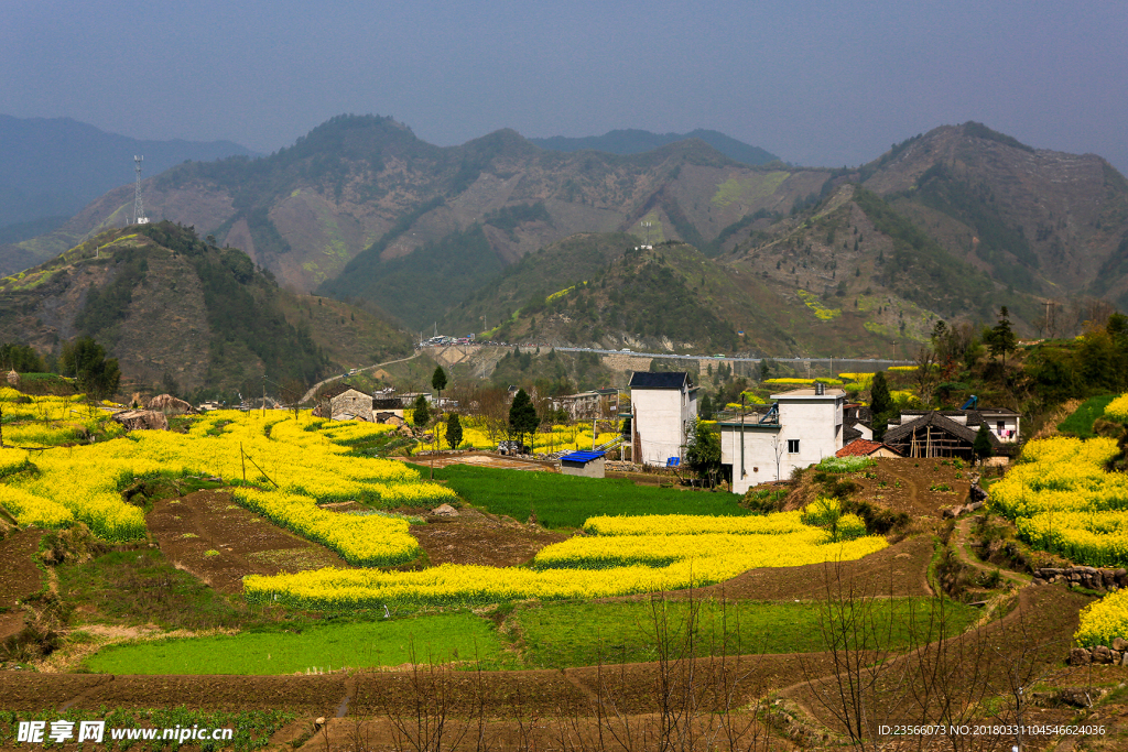 田园油画风景摄影